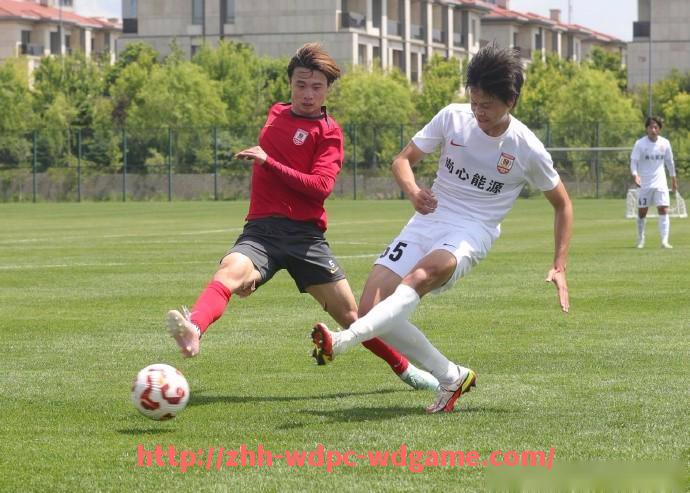 问鼎娱乐官方网站-德甲联赛中哪支球队前锋数量最少及原因分析